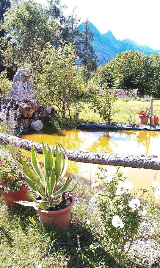 B&B Lo Scoiattolo Nebbiu Εξωτερικό φωτογραφία